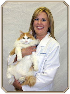 veterinarian in wentzville mo Dr. Bruns